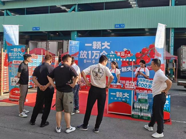 朝阳市场热潮涌动！沈记果业携“一颗大番茄”引爆锡城